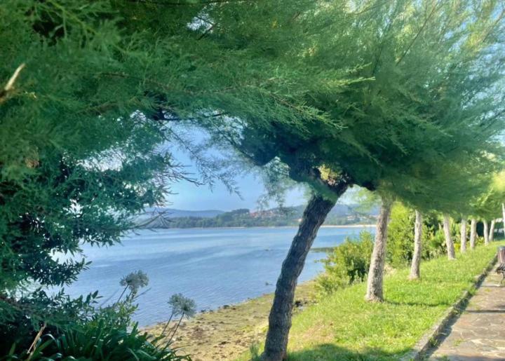 Atico Con Vistas A La Ria De Arosa Lejlighed Rianjo Eksteriør billede